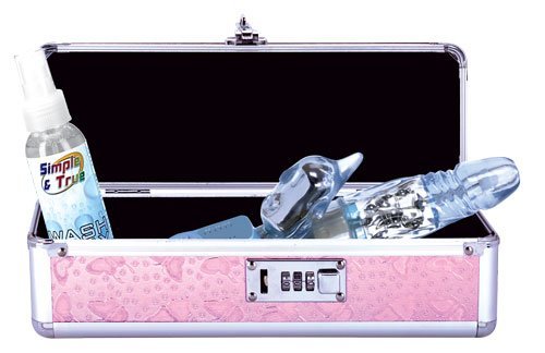 BMS Lockable Vibrator Case, Pink