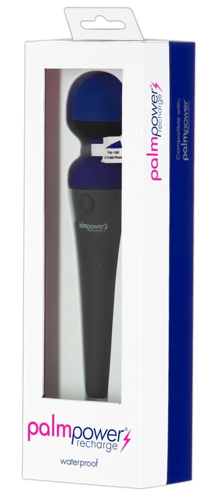 BMS Enterprises 85244: Palmpower Recharge Massager USB Blue