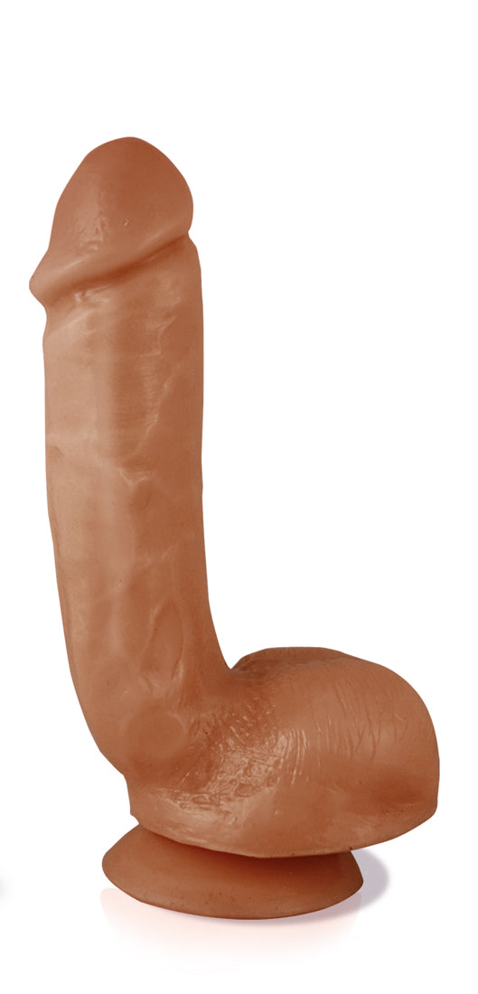8.5" Long Realistic Dildo -Cock and Balls Dong - Suction Cup Harness Compatible Dong - Sex Toy for Women - Sex Toy for Adults (Latin)