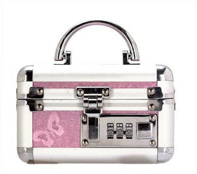 Mini Virbrator Case Pink Lockable