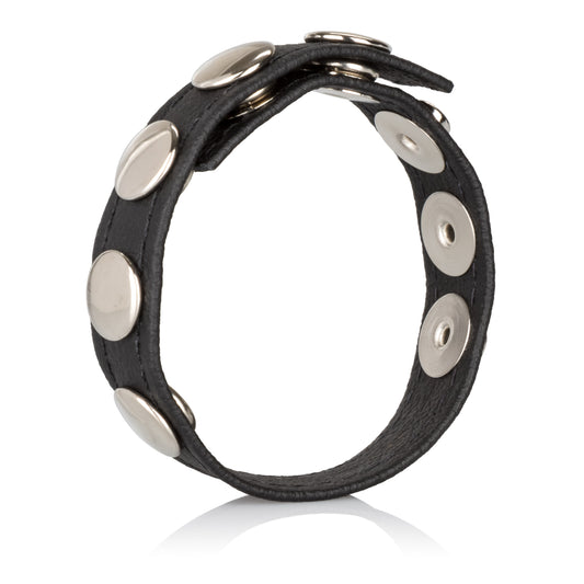 CalExotics Adonis Leather Collection Ares 5 Snap Adornment
